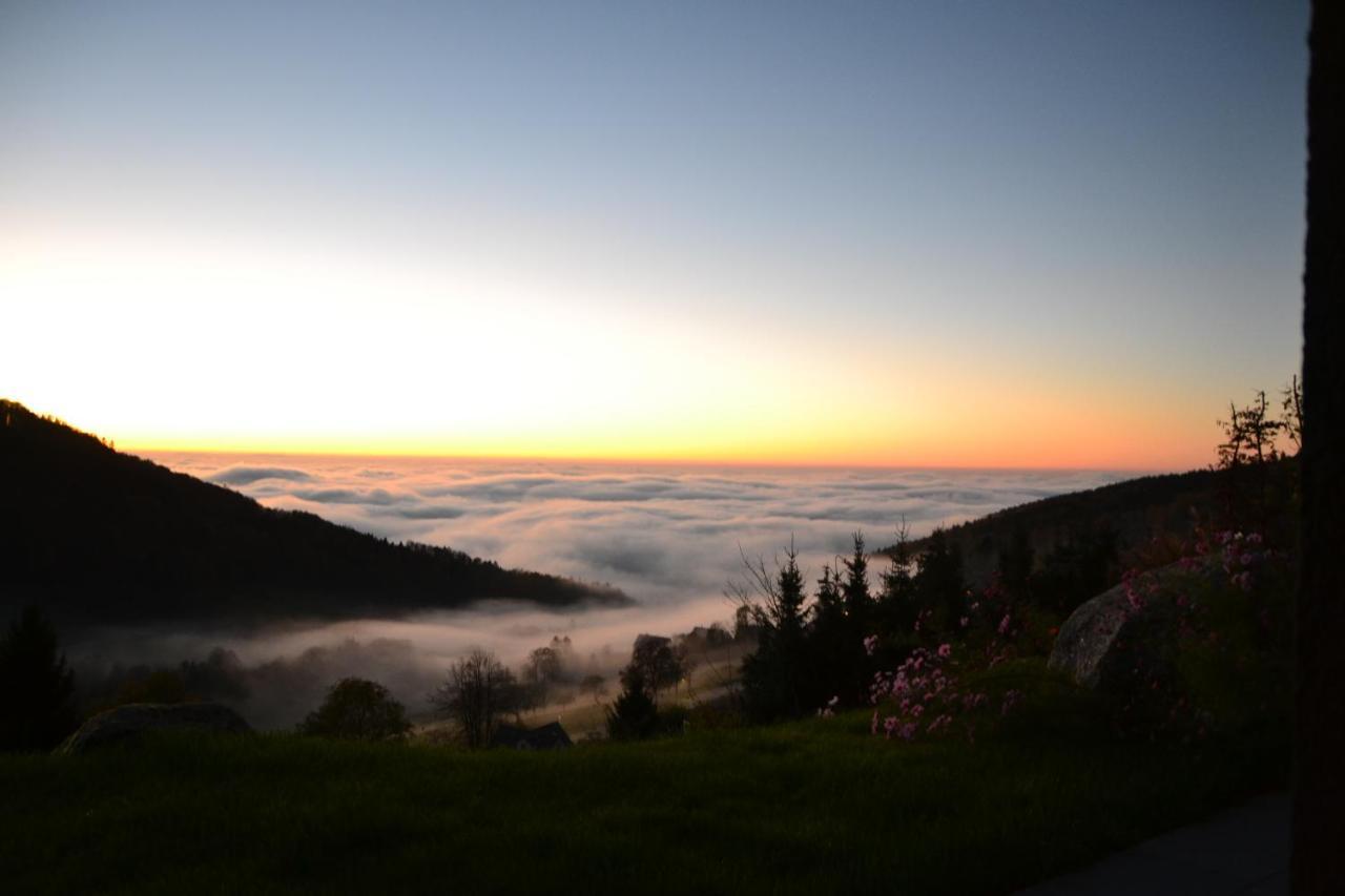 Bergweide 36 Apartment ซัสบาควัลเดิน ภายนอก รูปภาพ